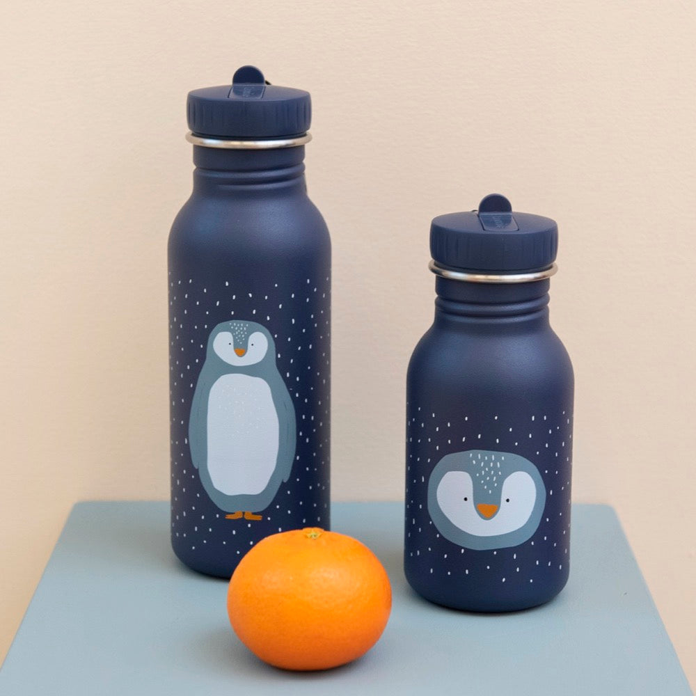 Stainless Steel Bottle 350 ml - Mr Penguin